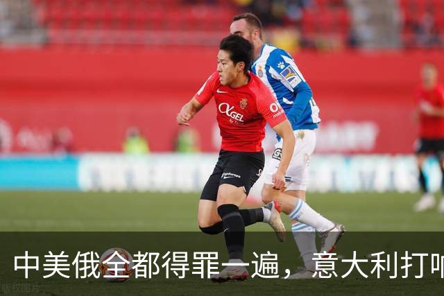 中美俄全都得罪一遍，意大利打响第一枪，没收冯德莱恩大权