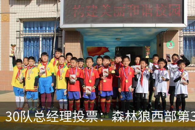 30队总经理投票：森林狼西部第3，却又被选为最难预测